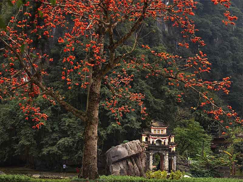 Ninh Binh Tour 2 Days 1 Night: Hoa Lu - Tam Coc - Mua Cave - Bich Dong- Thai Vi - Thung Nham