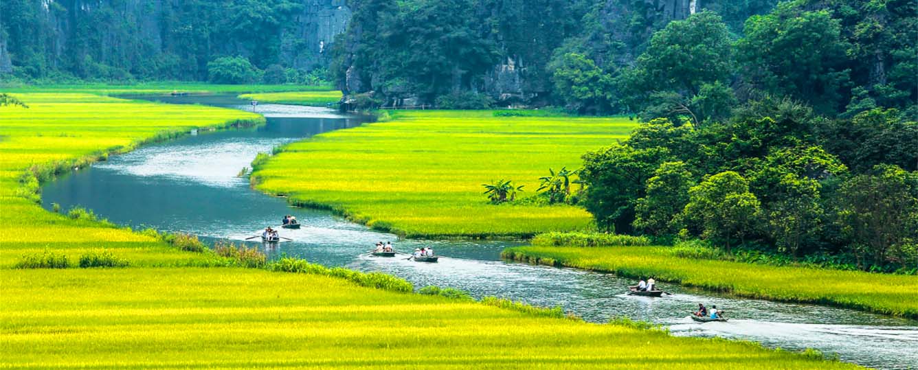 Ninh Binh Tours: Hoa Lu - Tam Coc - 1 Day Tour